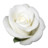 Rose White 1 Icon